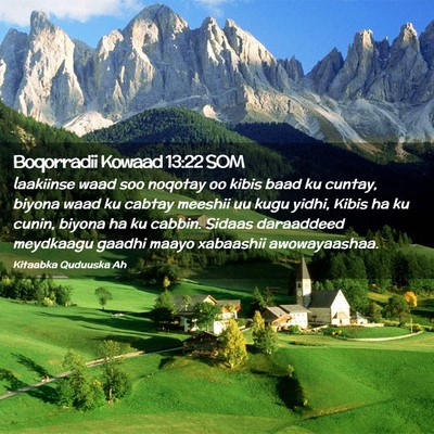 Picture 02 - Boqorradii Kowaad 13:22 SOM - laakiinse waad soo noqotay oo kibis baad ku - Bible Verse Picture
