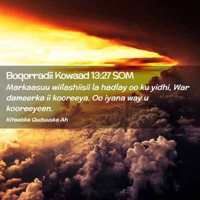 Picture 02 - Boqorradii Kowaad 13:27 SOM - Markaasuu wiilashiisii la hadlay oo ku yidhi, War - Bible Verse Picture