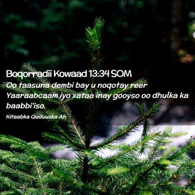 Picture 02 - Boqorradii Kowaad 13:34 SOM - Oo taasuna dembi bay u noqotay reer Yaaraabcaam - Bible Verse Picture