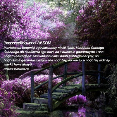 Picture 02 - Boqorradii Kowaad 13:6 SOM - Markaasaa boqorkii ugu jawaabay ninkii Ilaah, - Bible Verse Picture