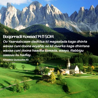 Picture 02 - Boqorradii Kowaad 14:11 SOM - Oo Yaaraabcaam dadkiisa kii magaalada kaga dhinta - Bible Verse Picture