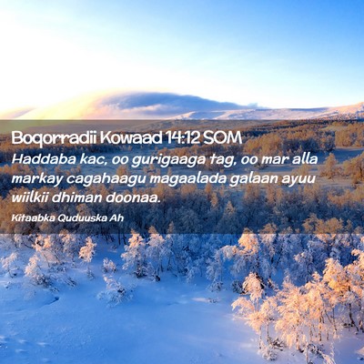 Picture 02 - Boqorradii Kowaad 14:12 SOM - Haddaba kac, oo gurigaaga tag, oo mar alla markay - Bible Verse Picture