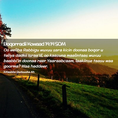 Picture 02 - Boqorradii Kowaad 14:14 SOM - Oo weliba Rabbigu wuxuu sara kicin doonaa boqor u - Bible Verse Picture
