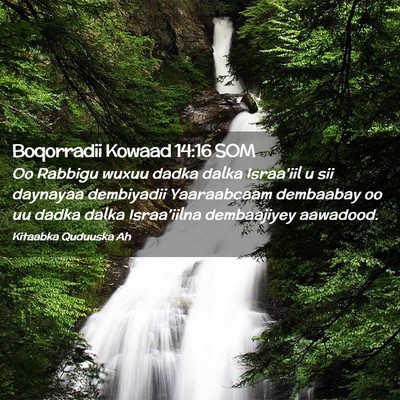 Picture 02 - Boqorradii Kowaad 14:16 SOM - Oo Rabbigu wuxuu dadka dalka Israa'iil u sii - Bible Verse Picture
