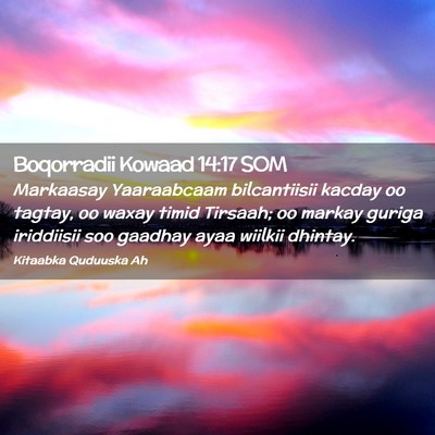 Picture 02 - Boqorradii Kowaad 14:17 SOM - Markaasay Yaaraabcaam bilcantiisii kacday oo - Bible Verse Picture