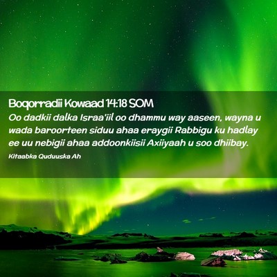 Picture 02 - Boqorradii Kowaad 14:18 SOM - Oo dadkii dalka Israa'iil oo dhammu way aaseen, - Bible Verse Picture