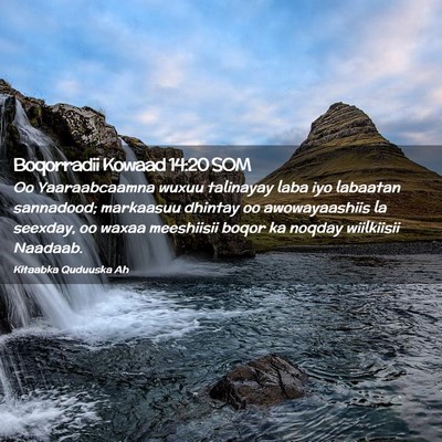 Picture 02 - Boqorradii Kowaad 14:20 SOM - Oo Yaaraabcaamna wuxuu talinayay laba iyo - Bible Verse Picture