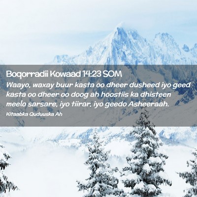 Picture 02 - Boqorradii Kowaad 14:23 SOM - Waayo, waxay buur kasta oo dheer dusheed iyo geed - Bible Verse Picture