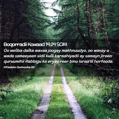 Picture 02 - Boqorradii Kowaad 14:24 SOM - Oo weliba dalka waxaa joogay makhnuudyo, oo waxay - Bible Verse Picture