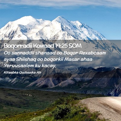Picture 02 - Boqorradii Kowaad 14:25 SOM - Oo sannaddii shanaad oo Boqor Rexabcaam ayaa - Bible Verse Picture