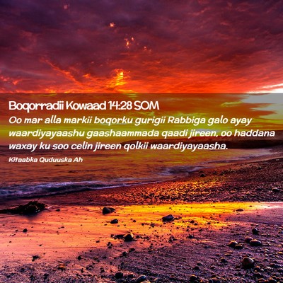 Picture 02 - Boqorradii Kowaad 14:28 SOM - Oo mar alla markii boqorku gurigii Rabbiga galo - Bible Verse Picture