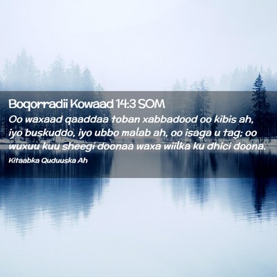 Picture 02 - Boqorradii Kowaad 14:3 SOM - Oo waxaad qaaddaa toban xabbadood oo kibis ah, - Bible Verse Picture