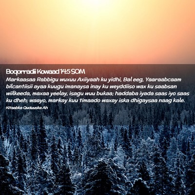 Picture 02 - Boqorradii Kowaad 14:5 SOM - Markaasaa Rabbigu wuxuu Axiiyaah ku yidhi, Bal - Bible Verse Picture