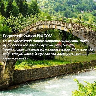 Picture 02 - Boqorradii Kowaad 14:6 SOM - Oo markii Axiiyaah maqlay sanqadhii cagaheeda, - Bible Verse Picture