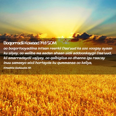 Picture 02 - Boqorradii Kowaad 14:8 SOM - oo boqortooyadiina intaan reerkii Daa'uud ka soo - Bible Verse Picture