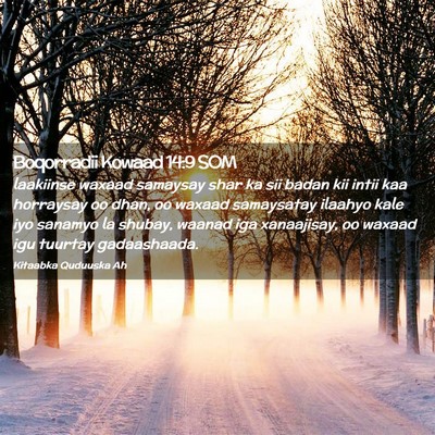 Picture 02 - Boqorradii Kowaad 14:9 SOM - laakiinse waxaad samaysay shar ka sii badan kii - Bible Verse Picture