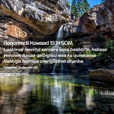 Picture 02 - Boqorradii Kowaad 15:14 SOM - Laakiinse meelihii sarsare lama baabbi'in; habase - Bible Verse Picture