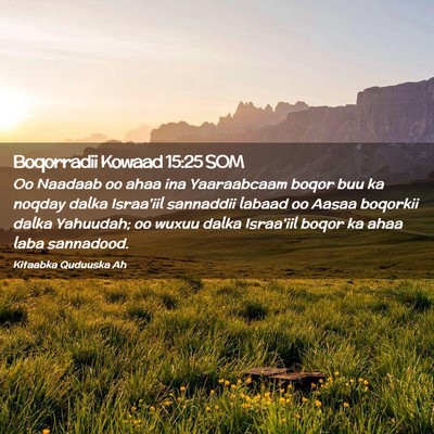 Picture 02 - Boqorradii Kowaad 15:25 SOM - Oo Naadaab oo ahaa ina Yaaraabcaam boqor buu ka - Bible Verse Picture