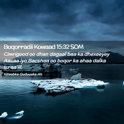 Picture 02 - Boqorradii Kowaad 15:32 SOM - Cimrigood oo dhan dagaal baa ka dhexeeyey Aasaa - Bible Verse Picture