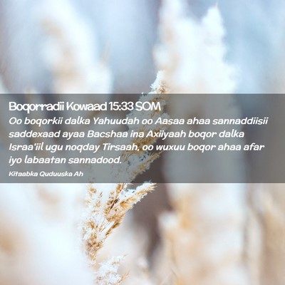 Picture 02 - Boqorradii Kowaad 15:33 SOM - Oo boqorkii dalka Yahuudah oo Aasaa ahaa - Bible Verse Picture