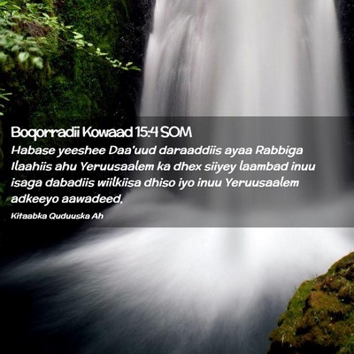 Picture 02 - Boqorradii Kowaad 15:4 SOM - Habase yeeshee Daa'uud daraaddiis ayaa Rabbiga - Bible Verse Picture