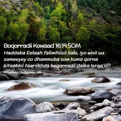 Picture 02 - Boqorradii Kowaad 16:14 SOM - Haddaba Eelaah falimihiisii kale, iyo wixii uu - Bible Verse Picture