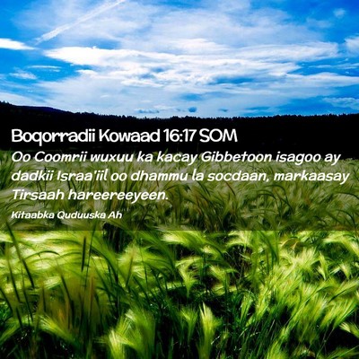 Picture 02 - Boqorradii Kowaad 16:17 SOM - Oo Coomrii wuxuu ka kacay Gibbetoon isagoo ay - Bible Verse Picture