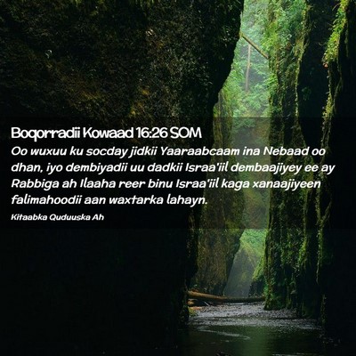 Picture 02 - Boqorradii Kowaad 16:26 SOM - Oo wuxuu ku socday jidkii Yaaraabcaam ina Nebaad - Bible Verse Picture