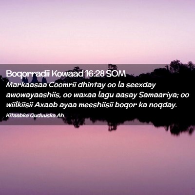 Picture 02 - Boqorradii Kowaad 16:28 SOM - Markaasaa Coomrii dhintay oo la seexday - Bible Verse Picture