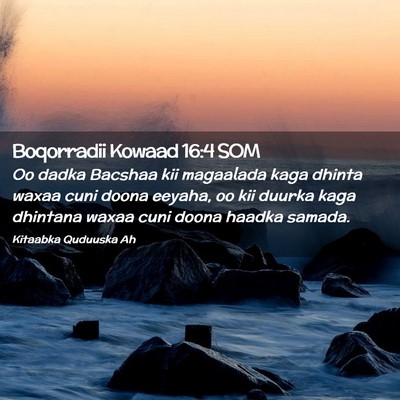Picture 02 - Boqorradii Kowaad 16:4 SOM - Oo dadka Bacshaa kii magaalada kaga dhinta waxaa - Bible Verse Picture