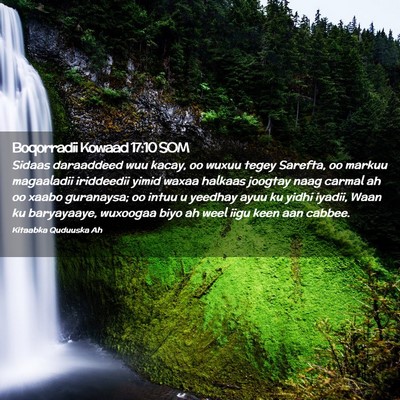 Picture 02 - Boqorradii Kowaad 17:10 SOM - Sidaas daraaddeed wuu kacay, oo wuxuu tegey - Bible Verse Picture