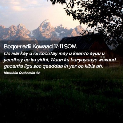 Picture 02 - Boqorradii Kowaad 17:11 SOM - Oo markay u sii socotay inay u keento ayuu u - Bible Verse Picture