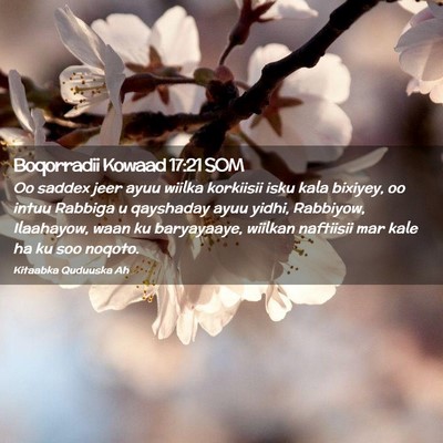 Picture 02 - Boqorradii Kowaad 17:21 SOM - Oo saddex jeer ayuu wiilka korkiisii isku kala - Bible Verse Picture