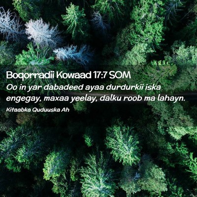 Picture 02 - Boqorradii Kowaad 17:7 SOM - Oo in yar dabadeed ayaa durdurkii iska engegay, - Bible Verse Picture