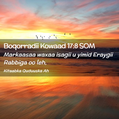 Picture 02 - Boqorradii Kowaad 17:8 SOM - Markaasaa waxaa isagii u yimid Eraygii Rabbiga oo - Bible Verse Picture