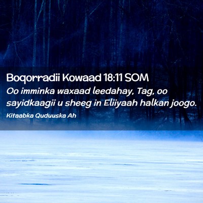 Picture 02 - Boqorradii Kowaad 18:11 SOM - Oo imminka waxaad leedahay, Tag, oo sayidkaagii u - Bible Verse Picture
