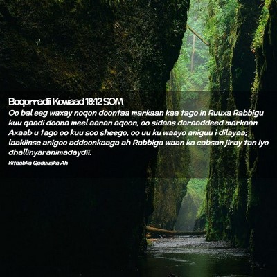 Picture 02 - Boqorradii Kowaad 18:12 SOM - Oo bal eeg waxay noqon doontaa markaan kaa tago - Bible Verse Picture