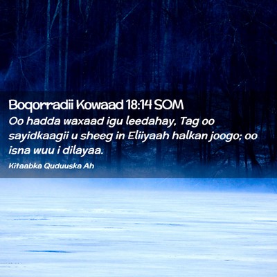 Picture 02 - Boqorradii Kowaad 18:14 SOM - Oo hadda waxaad igu leedahay, Tag oo sayidkaagii - Bible Verse Picture
