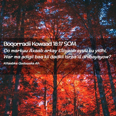 Picture 02 - Boqorradii Kowaad 18:17 SOM - Oo markuu Axaab arkay Eliiyaah ayuu ku yidhi, War - Bible Verse Picture