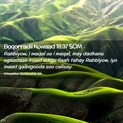 Picture 02 - Boqorradii Kowaad 18:37 SOM - Rabbiyow, i maqal oo i maqal, inay dadkanu - Bible Verse Picture