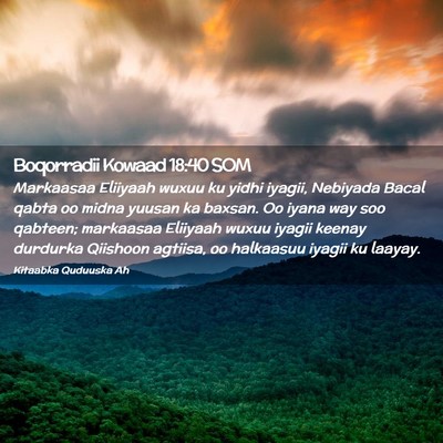 Picture 02 - Boqorradii Kowaad 18:40 SOM - Markaasaa Eliiyaah wuxuu ku yidhi iyagii, - Bible Verse Picture