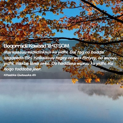 Picture 02 - Boqorradii Kowaad 18:43 SOM - Markaasuu midiidinkiisii ku yidhi, Bal tag oo - Bible Verse Picture