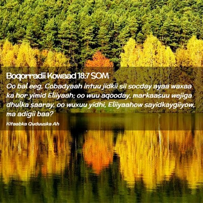 Picture 02 - Boqorradii Kowaad 18:7 SOM - Oo bal eeg, Cobadyaah intuu jidkii sii socday - Bible Verse Picture