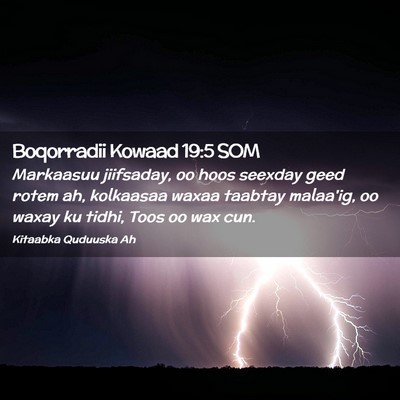 Picture 02 - Boqorradii Kowaad 19:5 SOM - Markaasuu jiifsaday, oo hoos seexday geed rotem - Bible Verse Picture