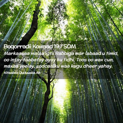 Picture 02 - Boqorradii Kowaad 19:7 SOM - Markaasaa malaa'igtii Rabbiga mar labaad u timid, - Bible Verse Picture
