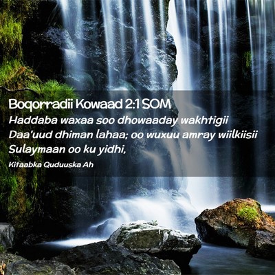 Picture 02 - Boqorradii Kowaad 2:1 SOM - Haddaba waxaa soo dhowaaday wakhtigii Daa'uud - Bible Verse Picture