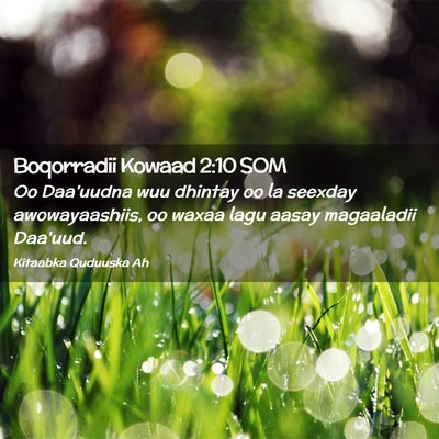 Picture 02 - Boqorradii Kowaad 2:10 SOM - Oo Daa'uudna wuu dhintay oo la seexday - Bible Verse Picture