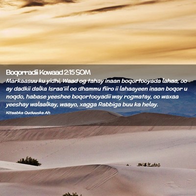 Picture 02 - Boqorradii Kowaad 2:15 SOM - Markaasuu ku yidhi, Waad og tahay inaan - Bible Verse Picture