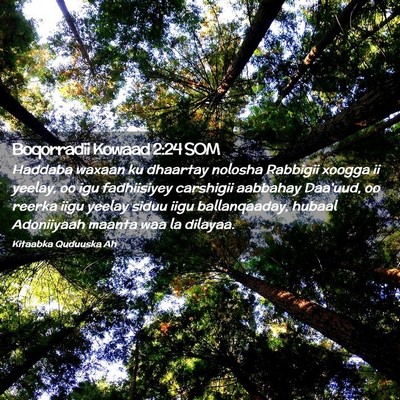 Picture 02 - Boqorradii Kowaad 2:24 SOM - Haddaba waxaan ku dhaartay nolosha Rabbigii - Bible Verse Picture
