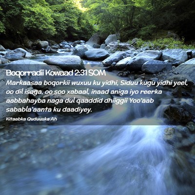 Picture 02 - Boqorradii Kowaad 2:31 SOM - Markaasaa boqorkii wuxuu ku yidhi, Siduu kugu - Bible Verse Picture